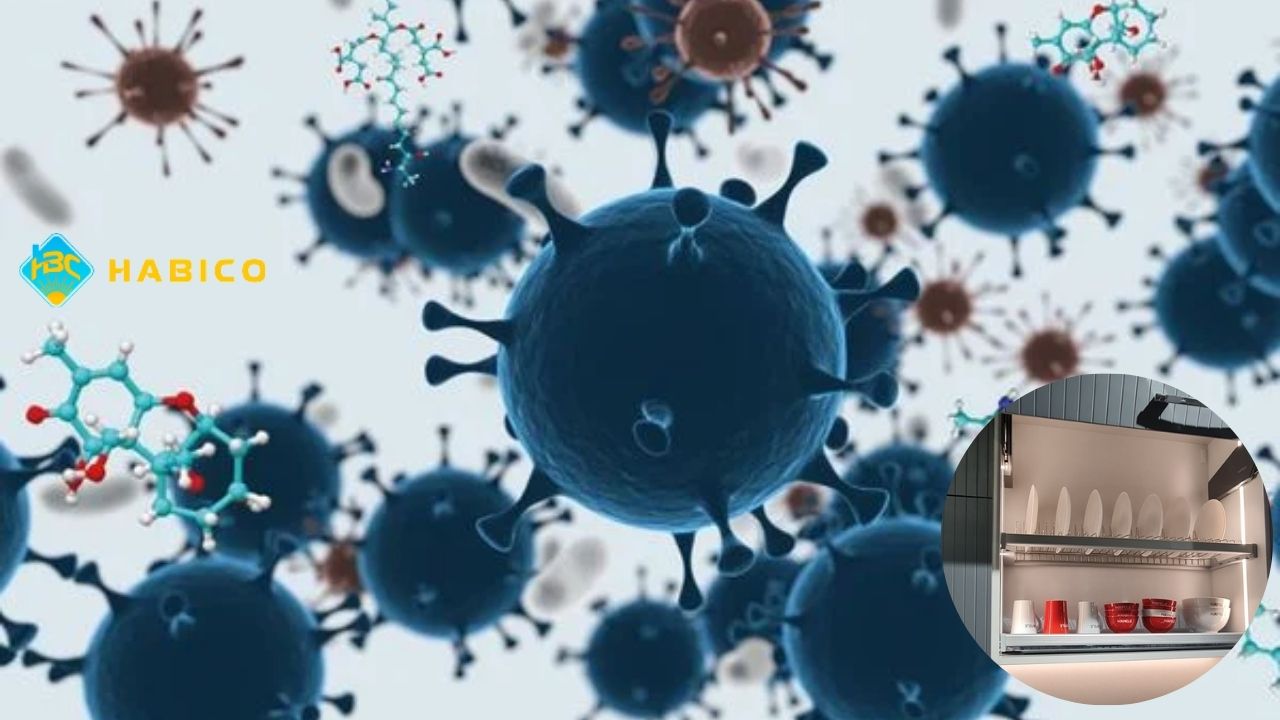 Ngăn Ngừa Ẩm Mốc Và Vi Khuẩn Gây Mùi