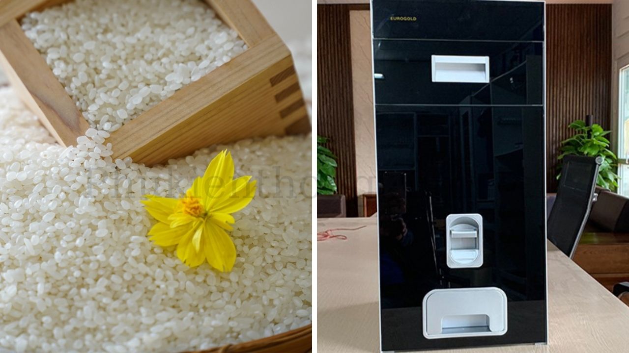 Bí quyết bảo quản và vệ sinh thùng đựng gạo Eurogold luôn bền đẹp