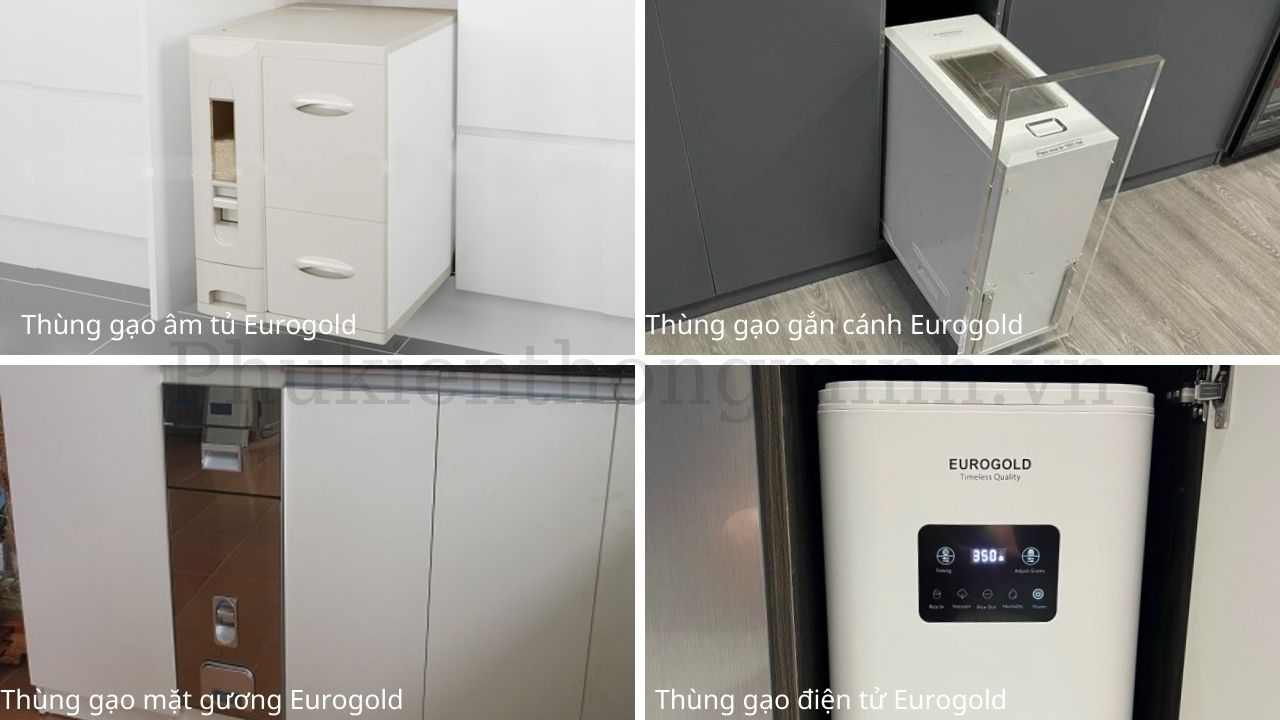 Các dòng thùng đựng gạo Eurogold nổi bật được ưa chuộng